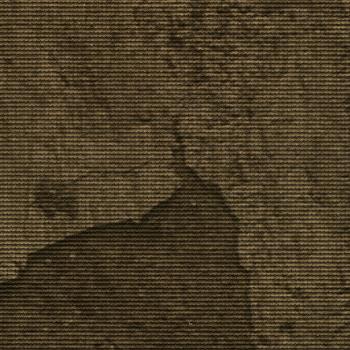 T800001250 T800001250